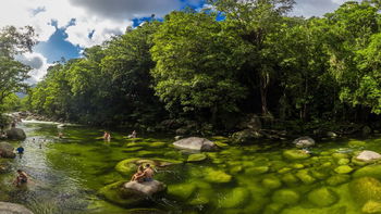 Accommodation Daintree