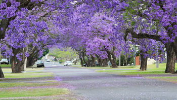 Grafton Accommodation