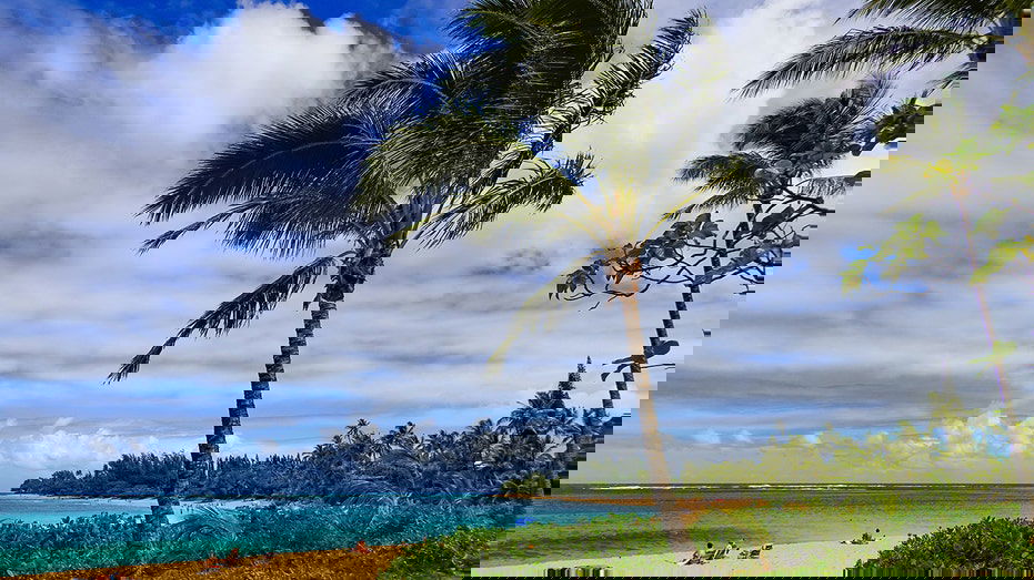 Hawaii cruise thrown into chaos after emergency at sea forces port change