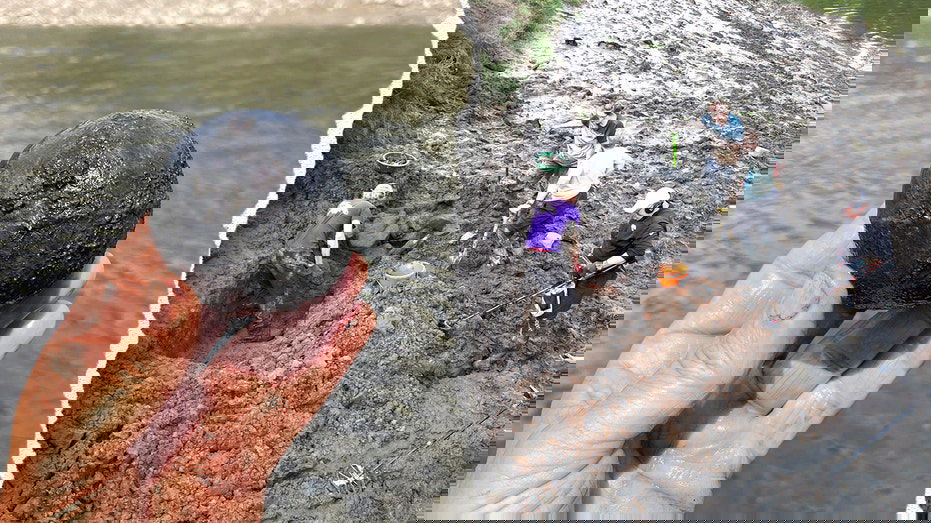 Massive industrial site uncovered in unlikely location as archaeologists cite 'enormous' potential