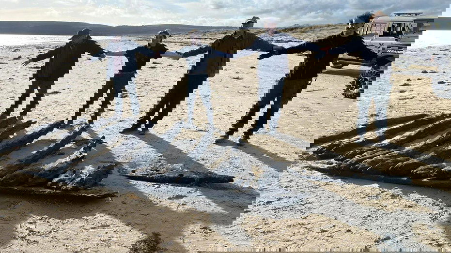 Winter storms reveal possible 17th-century shipwreck tied to armed Caribbean voyages