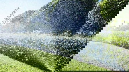 Accent Reticulation - Indi Newall