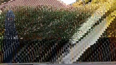 Bamboo Pruning Melbourne