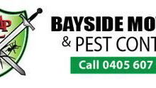Bayside mowing and Pest control
