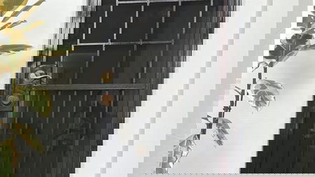 BAYSIDE RETRACTABLE SCREENS PTY. LIMITED