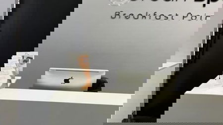 BEST VISION PAINTING AND DECORATING - Babak Rezaei