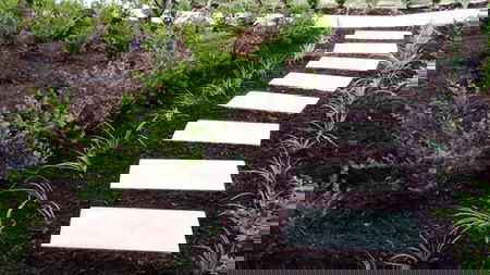 BJSS Landscape Services - Bernard Sward