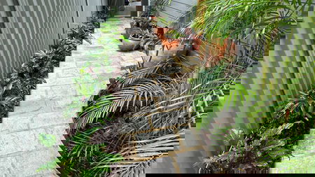 BLACK SQUID LANDSCAPES PTY LTD - Matthew Weaver