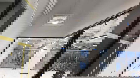 Black   White Painting Vic - Daniel Sultani