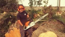 Blossoms  Turf - Winston Cutts