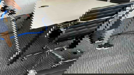 Blue Pine Cleaning Specialists  Pest Control - Gus Arias