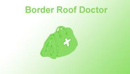 Border Roof Doctor - George
