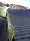 Daniel's Maintenance & Services - Daniel Ciobotaru - Trades Australia Image