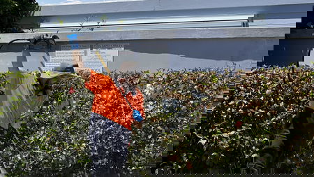 AK Pressure Wash  Window Cleaning Service