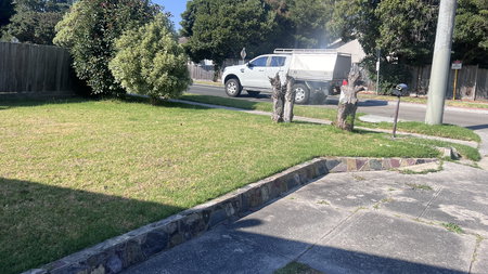 Alexander Theodore Simos