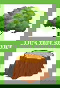 Liu's Tree Service - Trades Australia Image