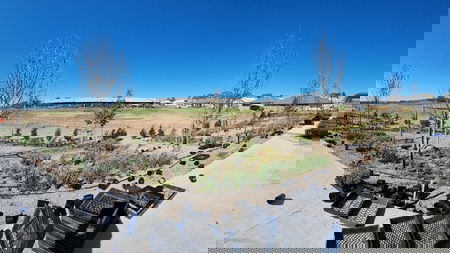 Angry Bear Landscapes - Aaron Barrett