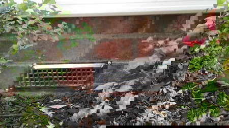 Arctic Waterproofing