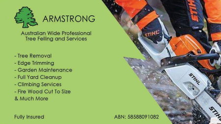 Armstrong Tree Removed