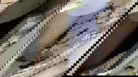 Ashwood Pest Control