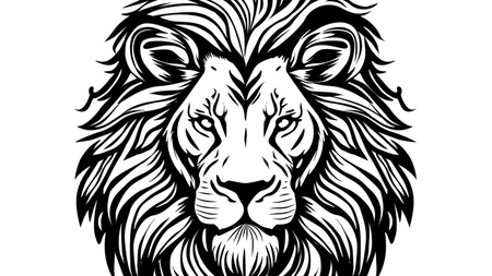 ASLAN INSULATION PTY LTD