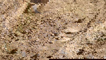 Assaad Chehade Youness