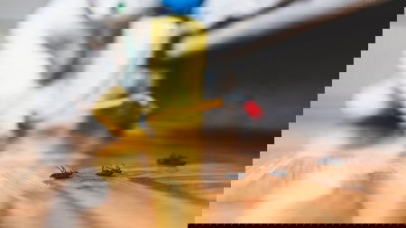 Asset Guard Pest Control