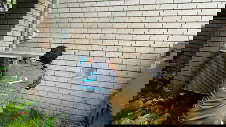 ATLANTIS PROJEX PTY LTD