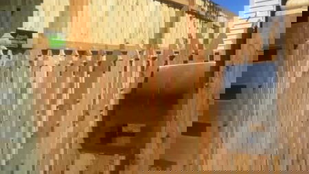 Aussie fencing - Steve Mcdonald