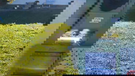 Auswide Surveying PTY LTD - Jimmy Khalil