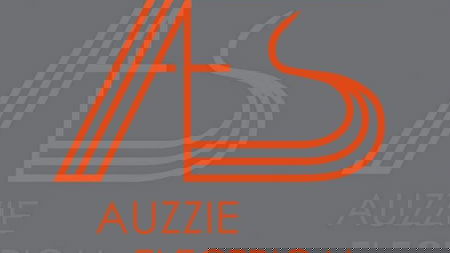 Auzzie Electrical Services