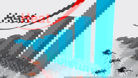 Avada Kedavra - Wael Halabi