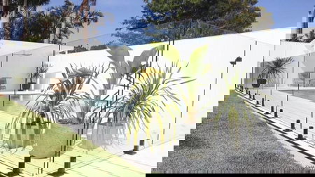 AVIA Glass Fencing by Anthony Flammia