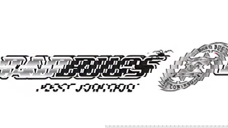 Bad Bugs Pest Control