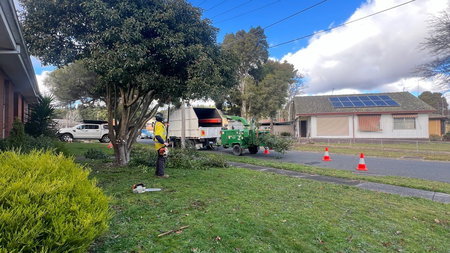 Ballarat Tree Care