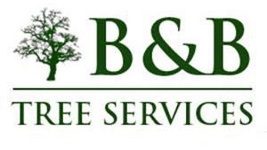 BB Tree Services - Michael Blythe